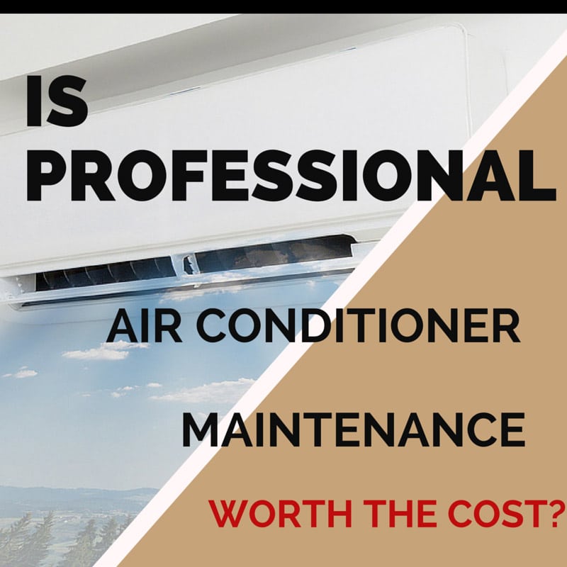 IS PROFESSIONAL AIR CONDITIONER MAINTENANCE WORTH THE COST