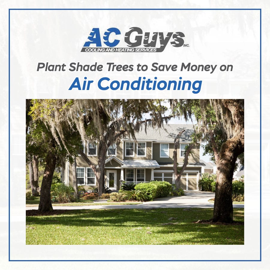 Plant Shade Trees to Save Money on Air Conditioning