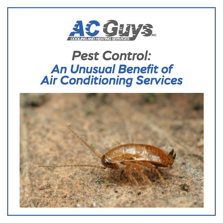 Pest Control: An Unusual Benefit of Air Conditioning Services