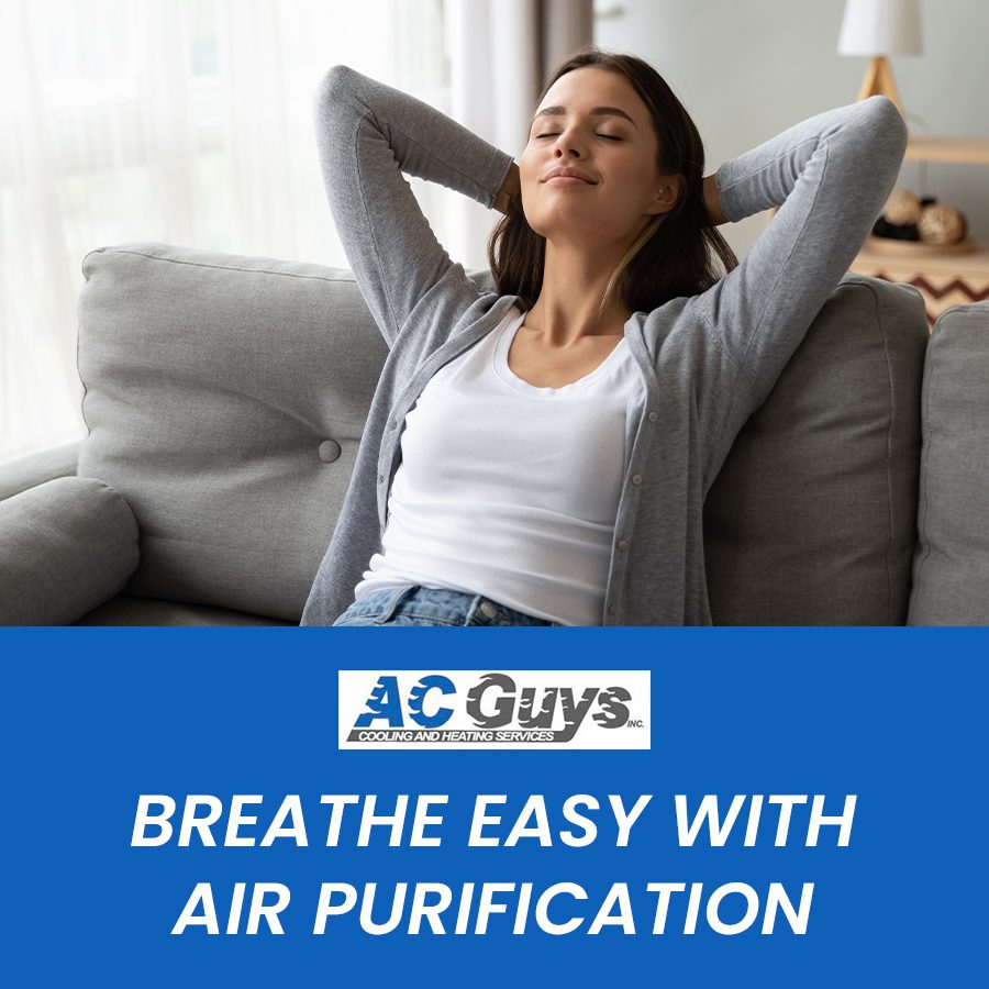 Breathe Easy With Air Purification